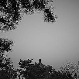 《战地2042》“危险地带”地图是正常地图的缩小版